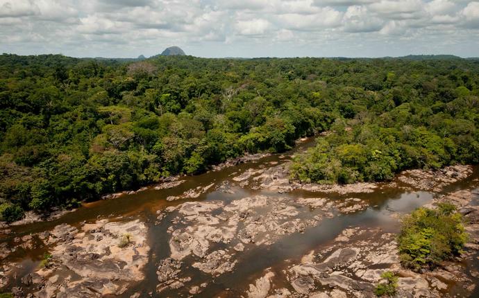 Would you believe me if I told you that part of the Amazon Rainforest is located in France?