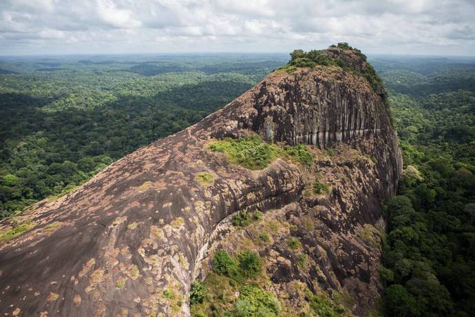 Would you believe me if I told you that part of the Amazon Rainforest is located in France?