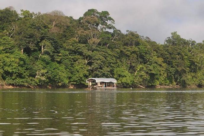 Would you believe me if I told you that part of the Amazon Rainforest is located in France?