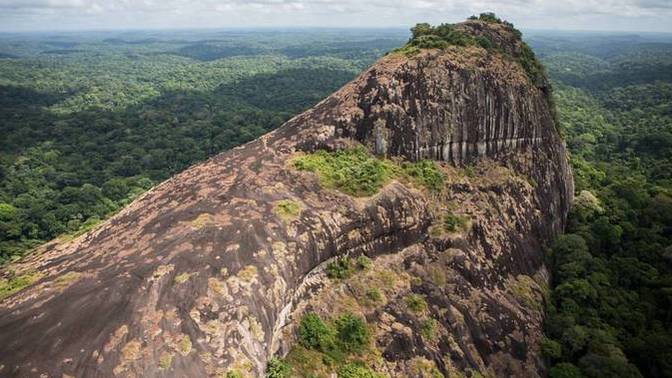 Would you believe me if I told you that part of the Amazon Rainforest is located in France?