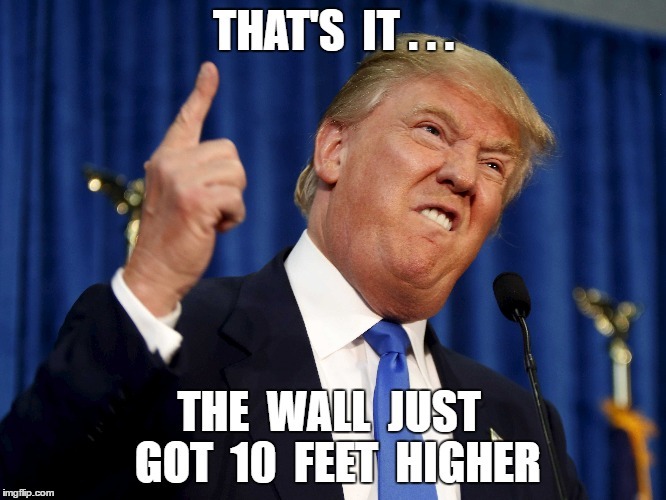 TRUMP or BIDEN 2024?