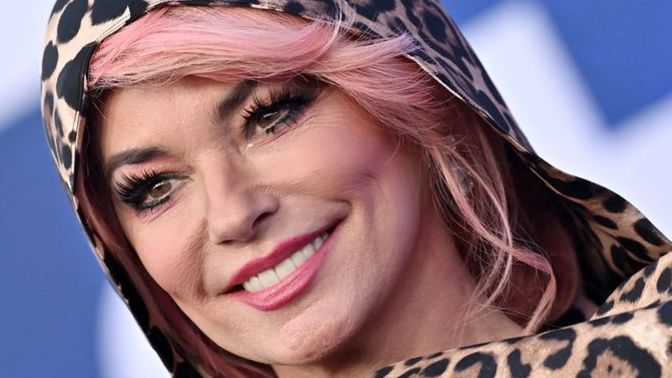 What do you think of Shania Twain's new face?