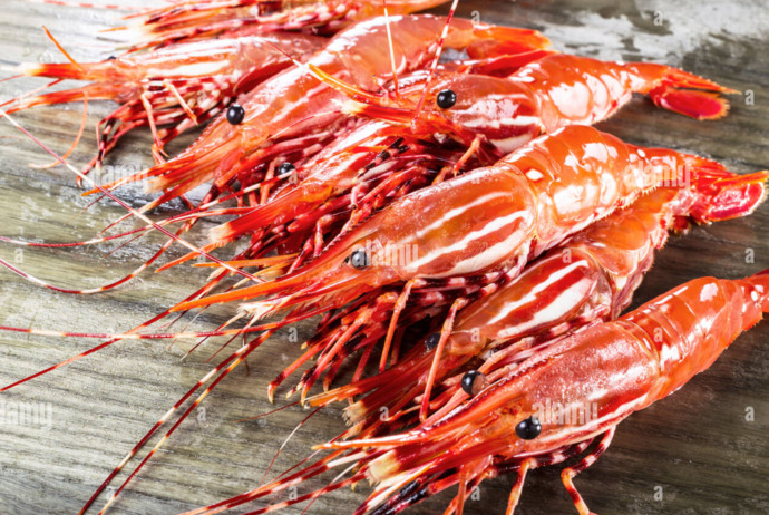 How do you like your SHRIMP?