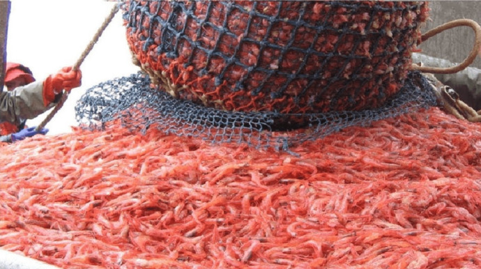 How do you like your SHRIMP?