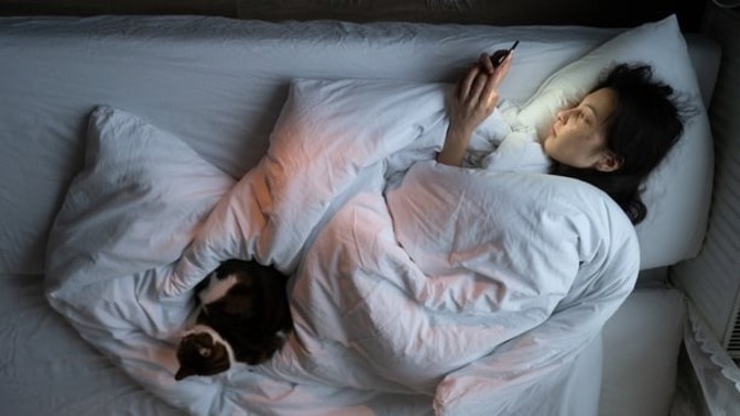 How to get out of the Bed Rotting cycle?