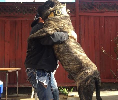 When a dog howls do you worry you're the one who's going to die?