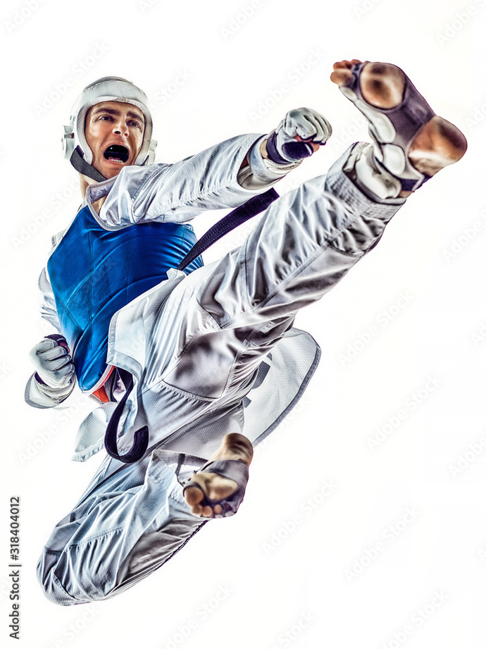 Which martial artist would you fight to get 100,000 dollars?