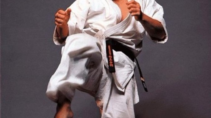 Which martial artist would you fight to get 100,000 dollars?