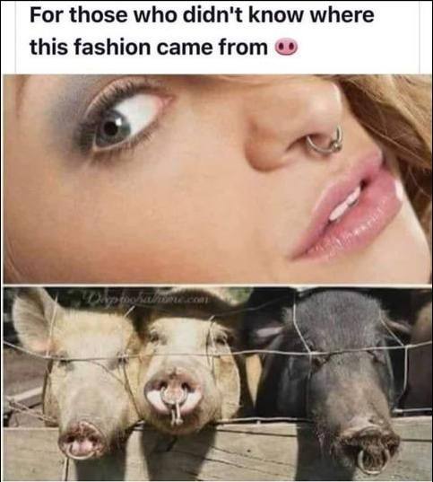 Why do some people like to wear nose rings?