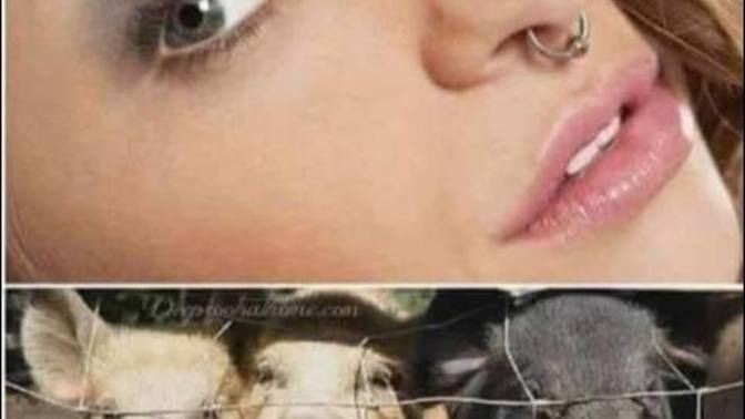Why do some people like to wear nose rings?
