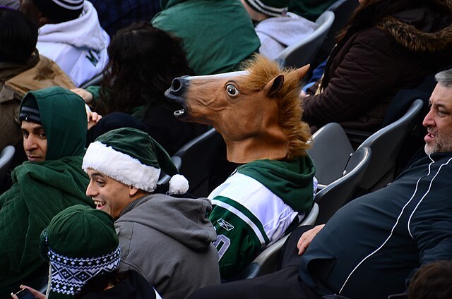 Anyone else likes how a horses head looks?