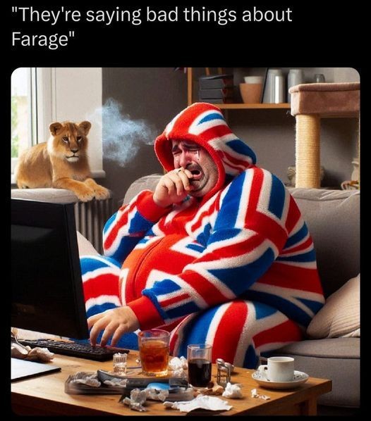 Are British people happy that Nigel Farage is in Parliament after his 8th election attempt?