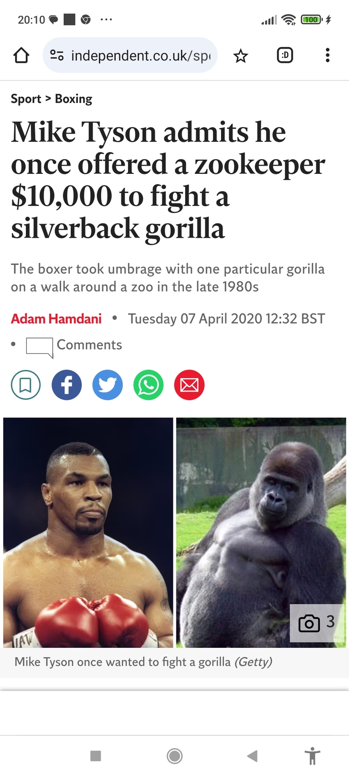 Did you know Mike Tyson offered money to zoo to have a fight with a gorilla?