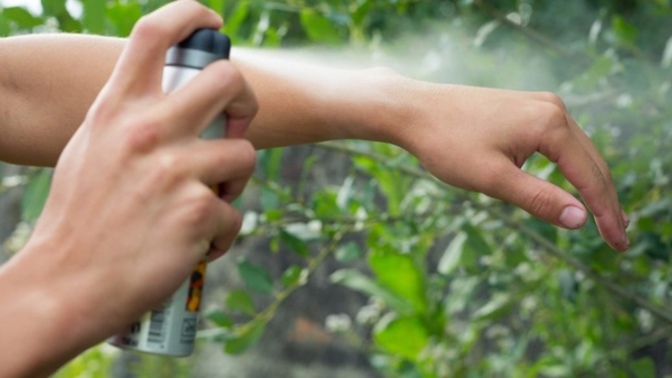 Do you use bug spray?