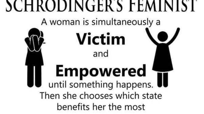 Does the attached image basically sum up what feminism is really all about?