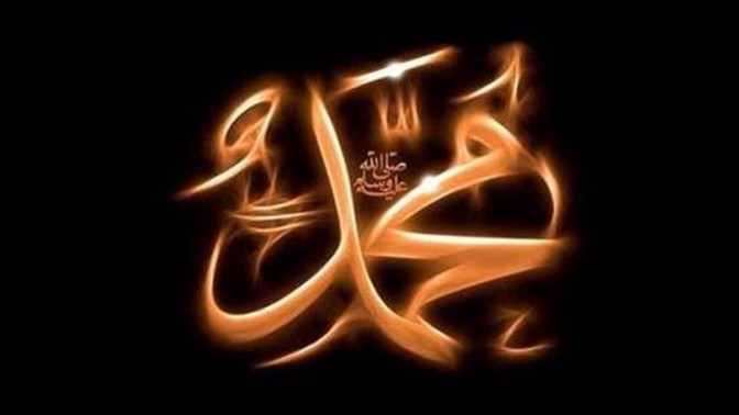 What do you think about Prophet Muhammad, the Prophet of Islam ?