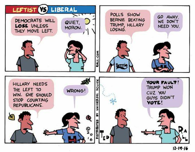 Is this political cartoon accurate representation of Clinton supporters in 2016?