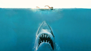 Who’s going swimming with me tomorrow?