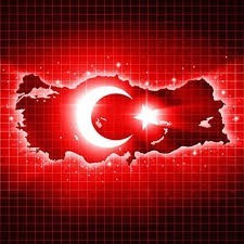 What do you think about Recep Tayyip Erdoğans bringing up the Gaza Genocide at the Nato Summit as a World Leader and Turkish Islamic Emperor ?