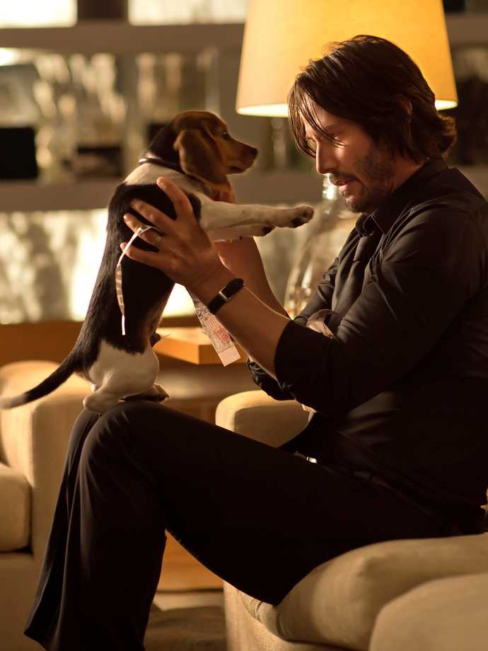 Would you agree with me that Mans Best Friend is not dog, its woman?