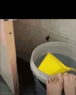 What would you do if you see 10 flying cockroaches flying around in your bedroom?