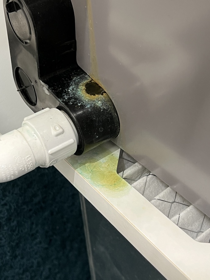 Does anyone know if this is mold?