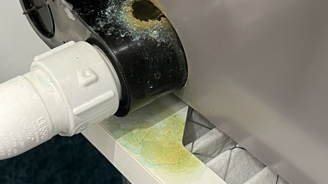 Does anyone know if this is mold?