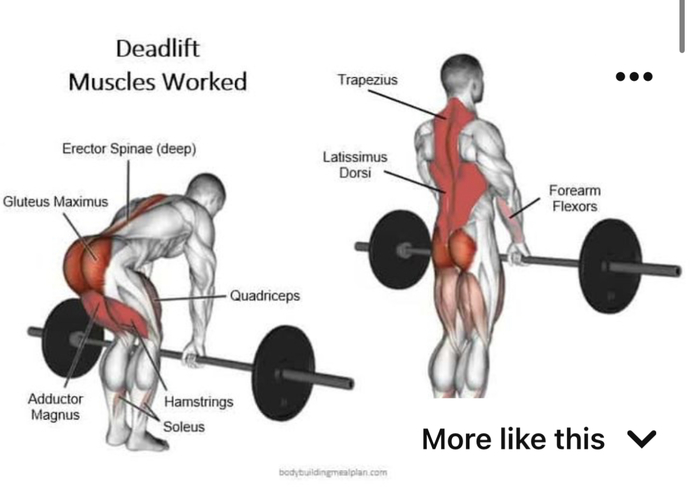 Favorite glutes exercises?