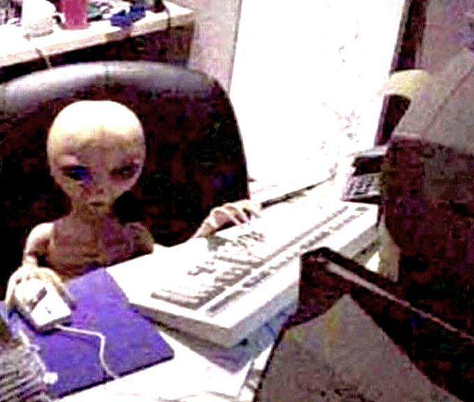 Me jerking off to human porn