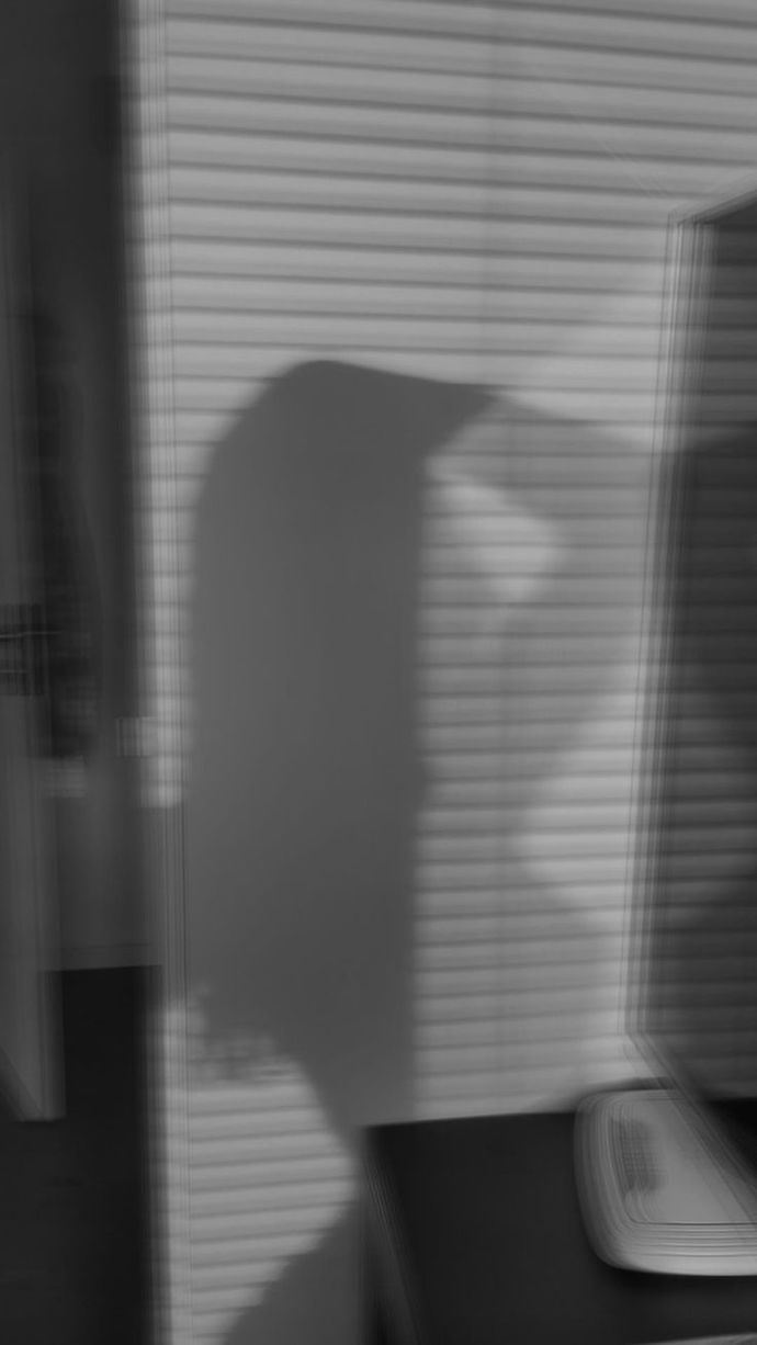 Do you like my shadow?