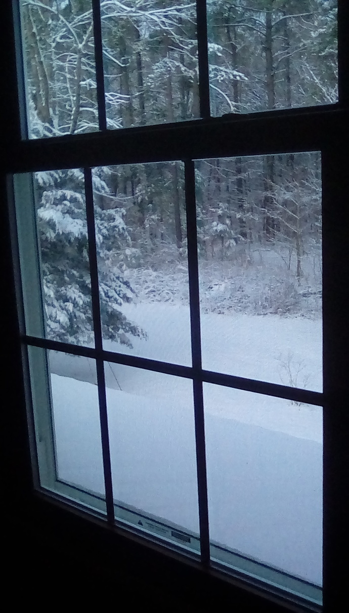 Heres my view from my bedroom, its an older pic from the wintertime but its so pretty 😍