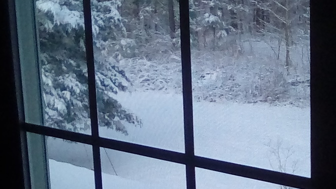 Do you have a view from your home?