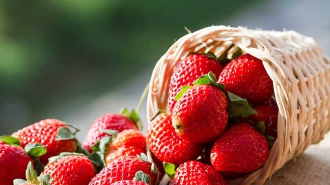 Strawberries vs cherries. Which fruit do you like better?