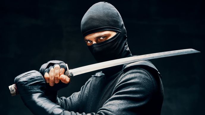 Would You Rather Be a Ninja or a Viking and Why?