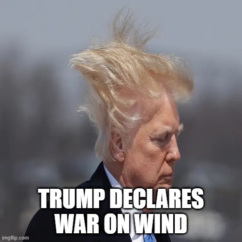 If Trump is hypothetically elected to a second term, would you support him declaring war against wind?