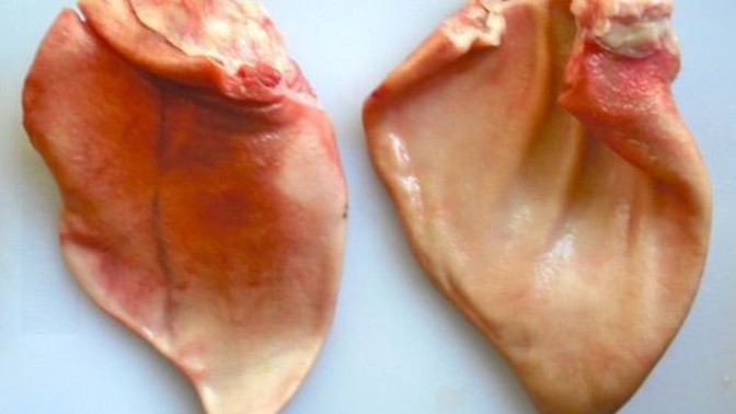 Have you ever eaten pig ears?
