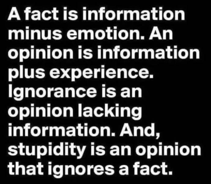 I’m pretty secure in these definitions of FACT, OPINION & STUPITY. Are you?