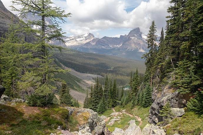 Whats your favourite kind of wilderness to be in?