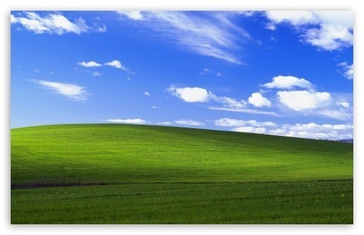 What's your favourite kind of wilderness to be in?