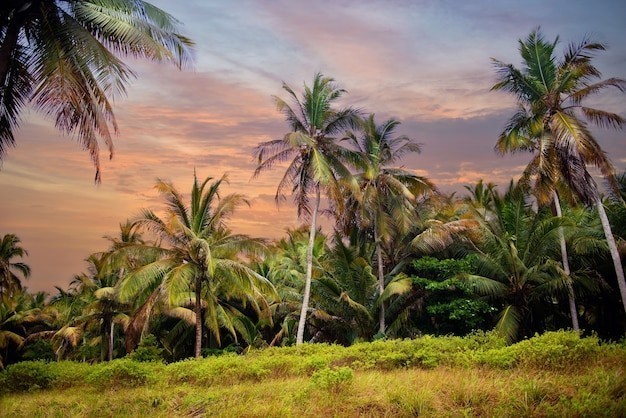 What's your favourite kind of wilderness to be in?
