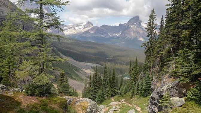 What's your favourite kind of wilderness to be in?
