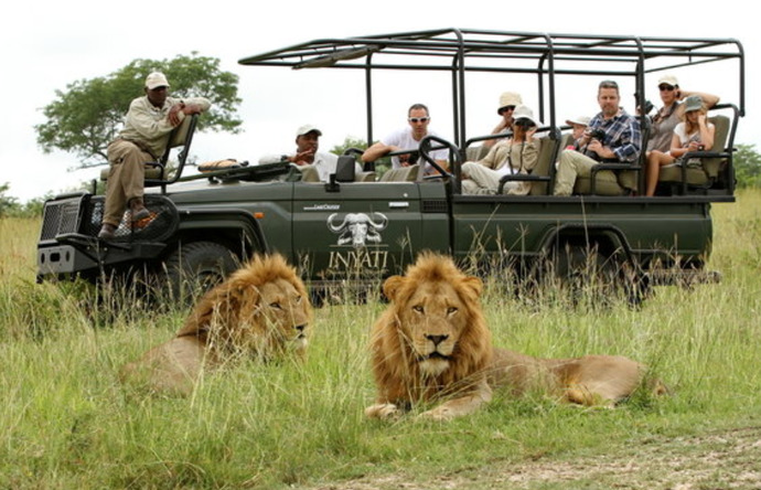 Have you ever been on a Safari?