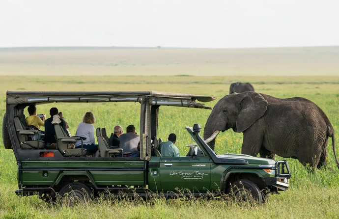 Have you ever been on a Safari?