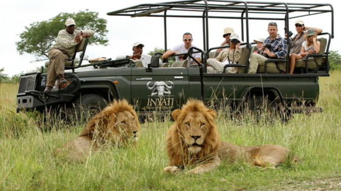 Have you ever been on a Safari?