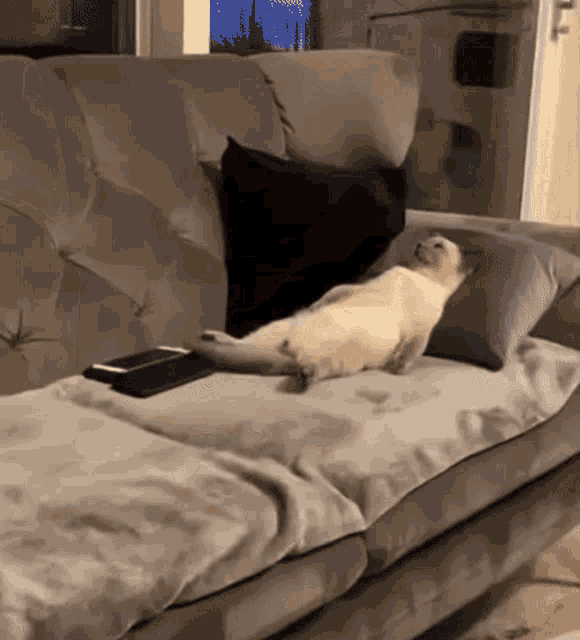 What do you do when you can't sleep?