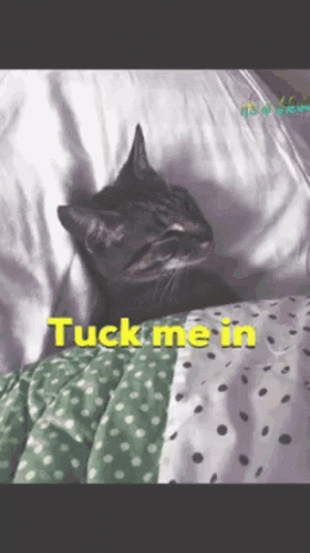 What do you do when you can't sleep?