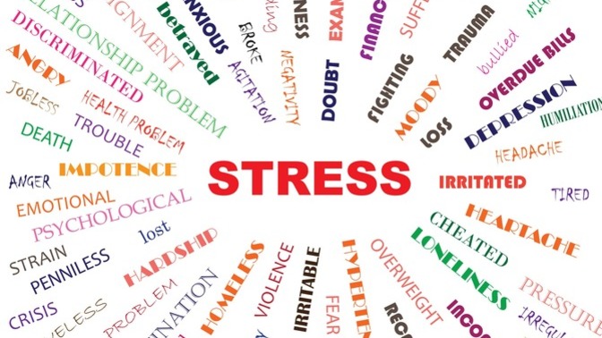 What was the last thing to really stress you out?