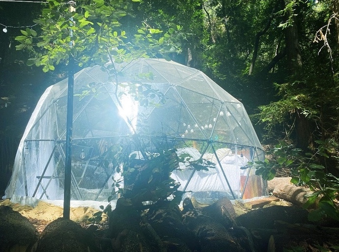 Would you rather go camping or glamping?