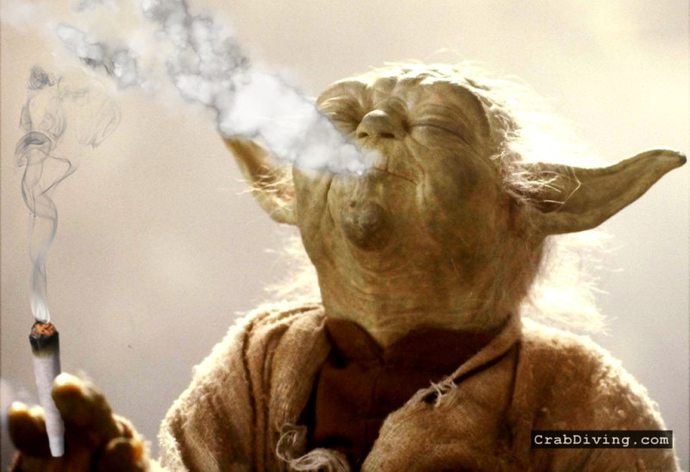 Why do people when they buy cigarettes say “I need” instead of “Can I get” or “I would like”?