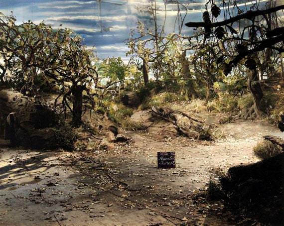 The actual Haunted Forest set of the 1939 film: The Wizard of Oz